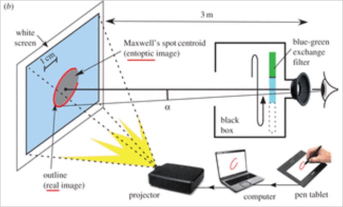 Diagram of Foveascope