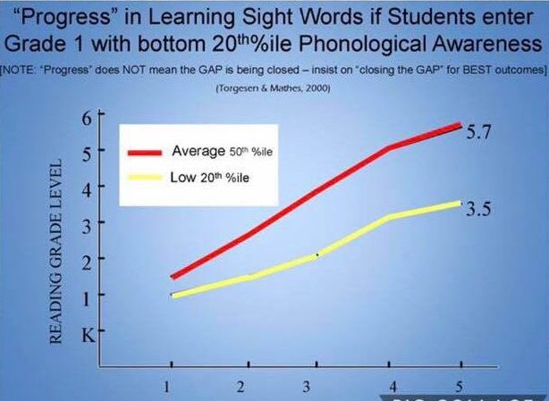 Chart showing reading progress