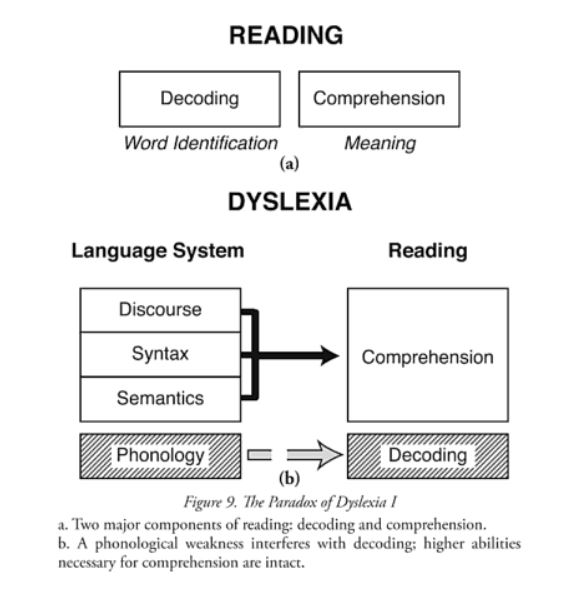 Dyslexic meaning