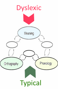 diagram dyslexic path to reading